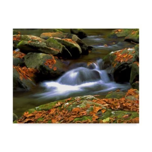 J.D. Mcfarlan 'West Prong White Water' Canvas Art, 18x24, Trademark Fine Art, Mfr#: ALI37091-C1824GG